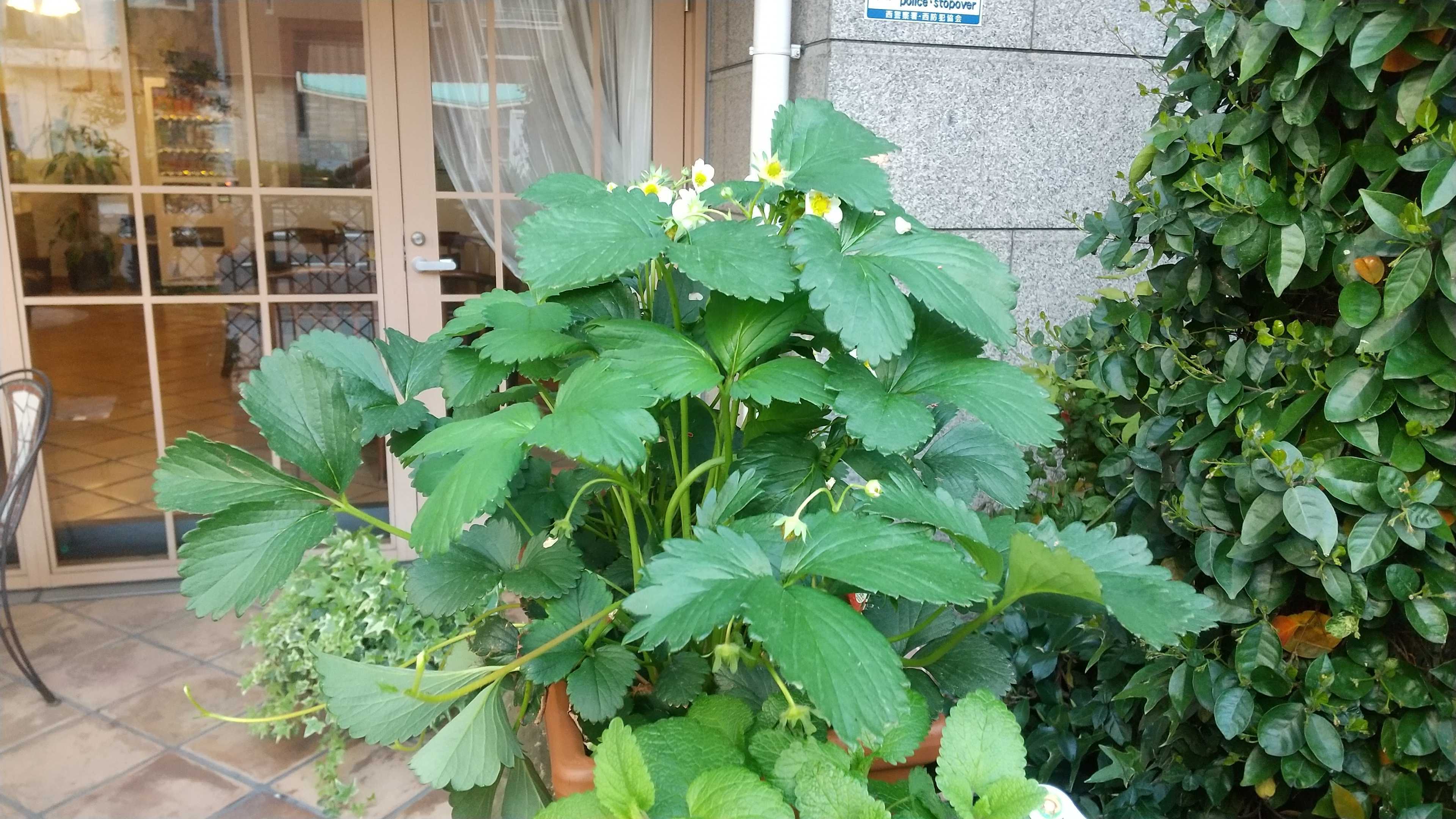 イベント画像