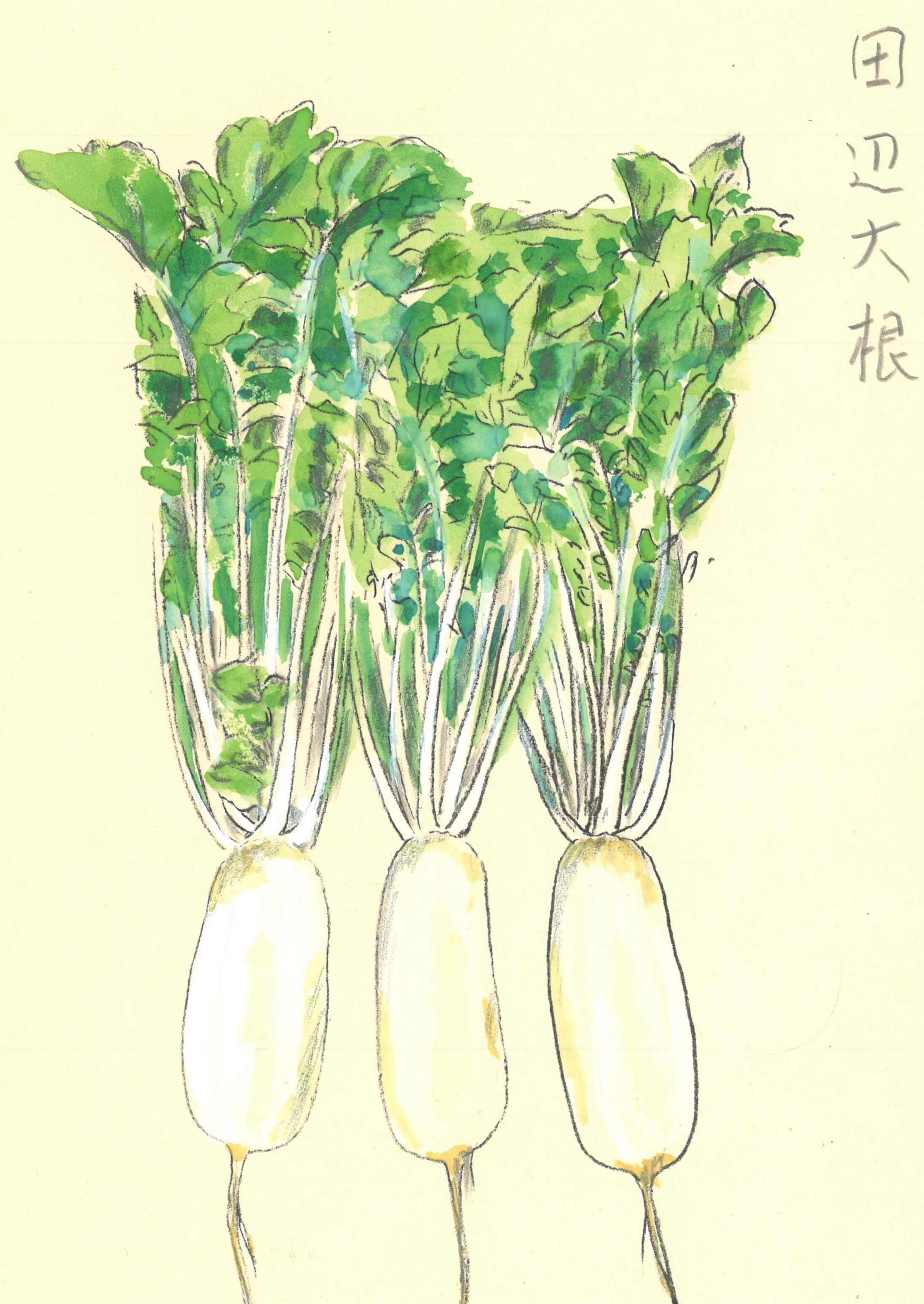野菜の旬を楽しむ 浪速割烹㐂川 きがわ 創業者上野修三 素適なセカンドライフ 老人ホーム探しのお役立ち情報